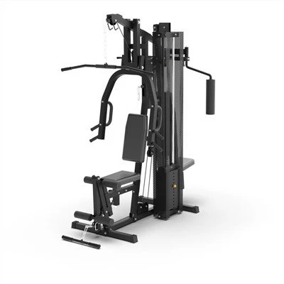 2-stáisiún Multi Gym